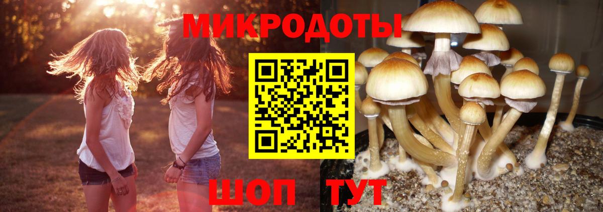 Псилоцибиновые грибы ЛСД Дивногорск