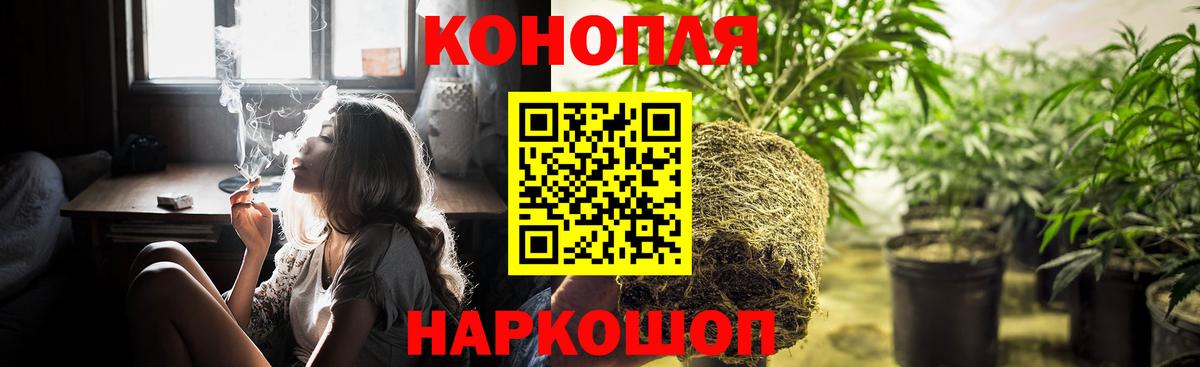 Бошки Шишки конопля Дивногорск